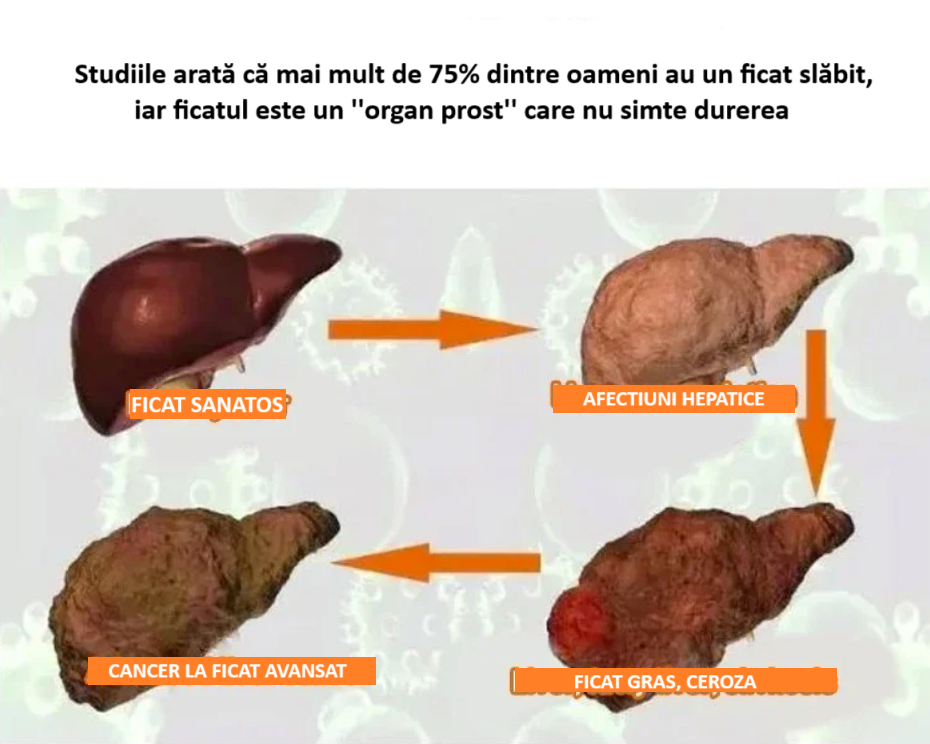 Ceai pentru îngrijirea ficatului - Detoxifiere si Slabire